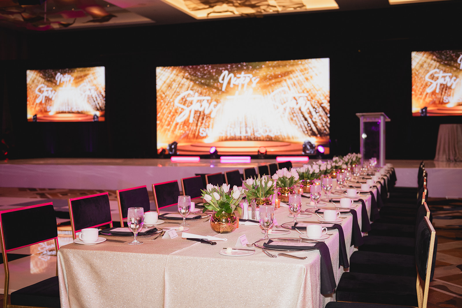 Live event produced by Vast Vision Productions
